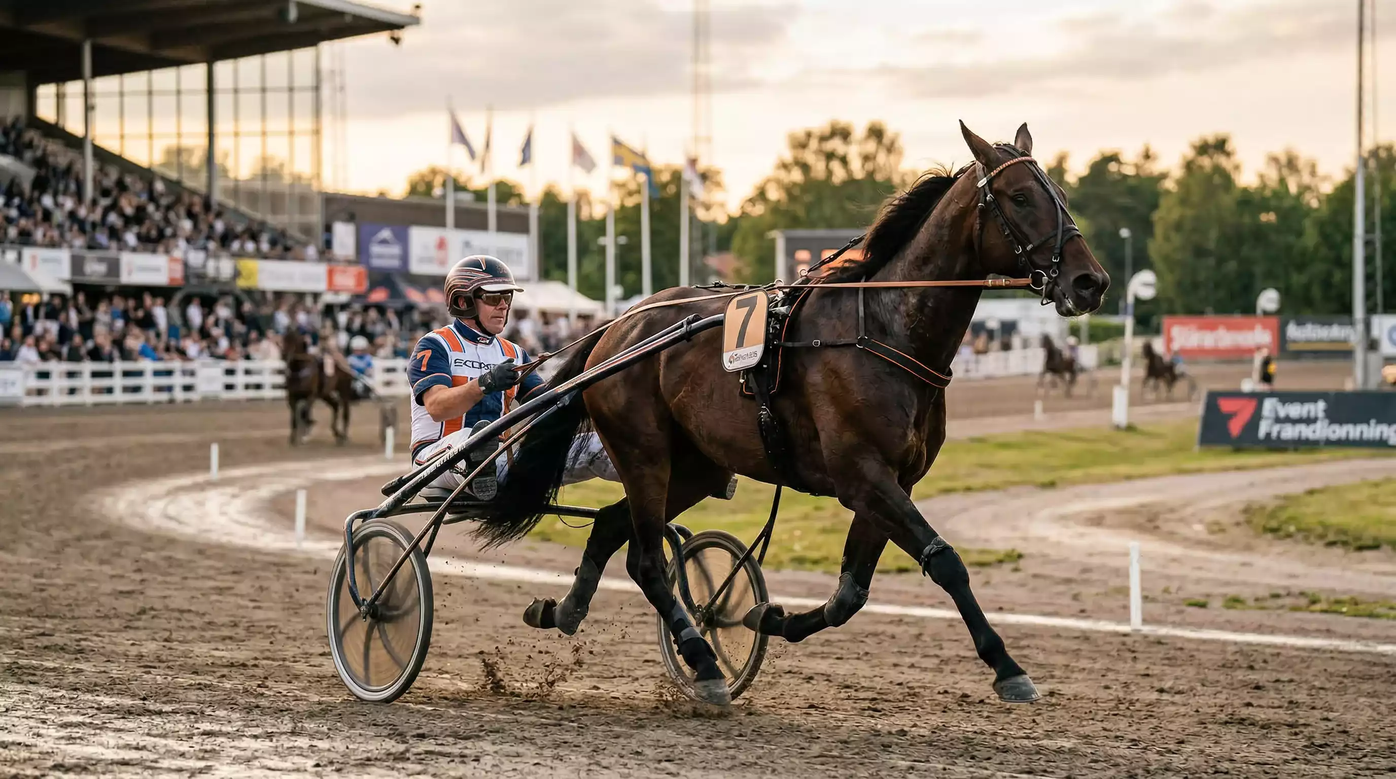 Trabrennen Wetten – Traber mit Sulky im Rennen auf der Sandbahn